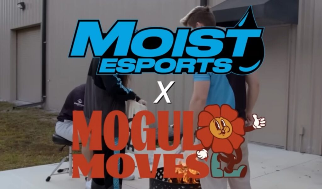 Ludwig Addresses Rumors: No Exit from Moist Esports in Shopify Partnership