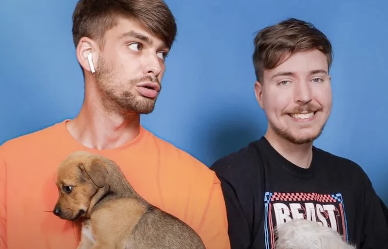 MrBeast Fans Demand Chandler’s Return Amidst Crew Turmoil & Shocking Allegations mrbeast and chandler